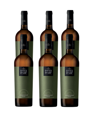 CANTINE VIN NOVA TERRA REALE CHARDONNAY IGP PUGLIA 6 BOTTIGLIE CL 75