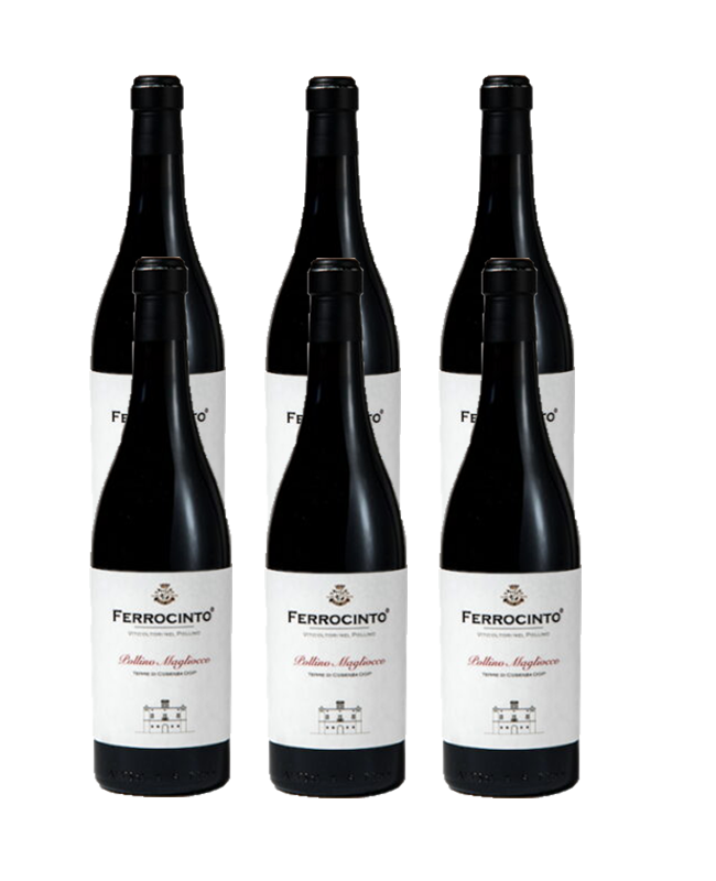 TENUTE FERROCINTO MAGLIOCCO ROSSO DEL POLLINO  6 BOTTIGLIE CL 75